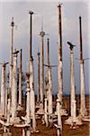 Myanmar, Burma, Loikaw. Ceremonial posts, Chitkel village, Loikaw, Burma