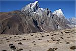 Nepal, Everest-Region Khumbu-Tal. Auf der Weide über Periche grasen Yaks auf den Everest Base Camp-Trail