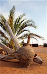 Oman, Wahiba Sands. An ornamental pot in the Nomadic Desert Camp.