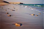 Oman, Wahiba Sands. Where the Wahiba Sands meets the coast.