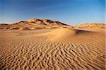 Oman, Empty Quarter. Le paysage martien des dunes Empty Quarter. Lumière du soir.