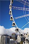 Wheel of Excellence with City Bowl and Table Mountain in background, Cape Town, Western Cape, South Africa