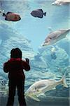 Child looking into aquarium at uShaka Marine World, Durban, KwaZulu-Natal, South Africa