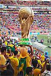 Brazilian football fans at World Cup match, Port Elizabeth, Eastern Cape, South Africa