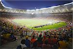 Football fans at World Cup match, Port Elizabeth, Eastern Cape, South Africa