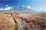 Homme de randonnée dans la réserve naturelle du capot du moine avec Champagne château en arrière-plan, Ukhahlamba Drakensberg Park, KwaZulu-Natal, Afrique du Sud