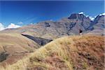 Man hiking in Monk's Cowl Nature Reserve with Champagne Castle in background, Ukhahlamba-Drakensberg Park, KwaZulu-Natal, South Africa