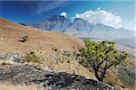 View of Champagne Castle in Monk's Cowl Nature Reserve, Ukhahlamba-Drakensberg Park, KwaZulu-Natal, South Africa