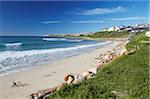 Plage à St Francis Bay, Western Cape, Afrique du Sud