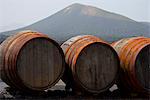 Île de Lanzarote. Appartient aux îles Canaries et sa formation est due à une activité volcanique récente. Espagne. À La Geria, les vins sont produits dans la cendre volcanique complet.