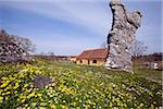 Sweden, Island of Gotland, Fårö.  Limestone rock formations called Rauks with historic farmhouse in background