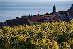 Ansicht des Lavaux und Leman See. Lavaux gehört zum Weltkulturerbe und ist eine Weinproduktion mit Terrassen, die seit der Zeit der Römer gegründet. Genfer See liegt an der Grenze zwischen der Schweiz und Frankreich.