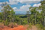 Ein Blick auf die Hügel und die einheimischen Wald in den tiefliegenden Kilombero Valley Tansania Southern Highlands.