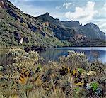 Lac Kitandara (Sud) (13 200 pieds), un lac d'eau douce peu profond, avec montage Luigi di Savoia (15 179 pieds) s'élevant au loin.