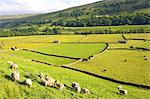 England, Yorkshire Dales, landscape near Low Row
