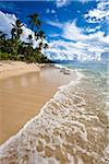 Tropical Beach, Ha'apai, Royaume des Tonga