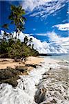 Plage, îles Ha'apai, Royaume des Tonga