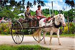 Boys Driving Horse Drawn Cart, Lotofoa, Ha'apai, Kingdom of Tonga