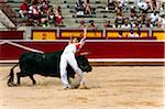 Matador und Bull in der Stierkampfarena, Fiesta de San Fermin, Pamplona, Navarra, Spanien