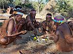 Un groupe de chasseurs-cueilleurs NIIS, venez manger un œuf d'autruche, qui a été cuit dans les braises d'un feu.Les NIIS font partie du peuple San, souvent appelé comme Bushmen.They diffèrent par l'apparence du reste de l'Afrique noire peau jaunâtre et légèrement désossées, maigre et musclé.
