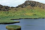 À l'intérieur du cône de Rano Raraku volcan est un lac bordé de roseaux de totoro. Chaque année, c'est la scène d'un triathlon traditionnel dans lequel Rapanui hommes s'affrontent en pagayant radeaux de roseaux de totoro, natation et en cours d'exécution avec lourd grappes des bananes jusqu'au sommet du cratère.