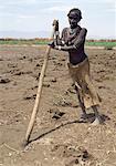 An old Dassanech woman prepares her fields beside the Omo River with a digging stick in readiness to plant sorghum. This crude form of  agricultural implement is in common use in this remote part of Ethiopia.