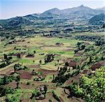 Reiche Landwirtschaft Land in der Nähe der westlichen Steilküste des Rifts Abessinier, nördlich von Debre Sina. Äthiopien ist ein Land der weiten Horizonte und dramatische Landschaft. Jeden Zentimeter des fruchtbaren Landes wird kultiviert Äthiopiens Bevölkerung von mehr als 60 Millionen von hand zuzuführen.Landwirtschaft bildet den Hintergrund der Land-Wirtschaft mit 90 Prozent seiner Bevölkerung aus dem Land einen Lebensunterhalt zu verdienen.