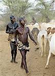 Avec corps huilés et noircis, un groupe de jeunes gens qui ont déjà terminé leur cérémonie d'initiation participer à une cérémonie de Hamar Bull sautant d'un ami en encerclant le bétail avant le point culminant de la cérémonie se déroule.Après la cérémonie, l'initié atteint toute sa virilité et est autorisé à se marier