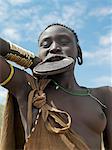 A Mursi woman wearing a large clay lip plate and ear ornaments to match.Shortly before marriage, a girls lower lip will be pierced and progressively stretched over a year or so while some of her teeth will be removed for the plate to fit snugly.The size of the lip plate often determines the quantum of the bride price.   The reason for this singular practice is not fully understood but Mursi women