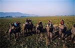 Touristes sur éléphant retour Regarde un l'un rhinocéros unicorne de Kaziranga National Park.Located sur les rives du fleuve Brahmapoutre dans l'extrême nord de l'Inde est de Kaziranga National Park couvre une superficie d'environ 430 kilomètres carrés avec ses marécages et de broussailles hautes d'herbe à éléphant rendant l'habitat idéal pour le rhinocéros unicorne un Indien.