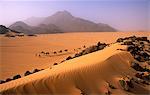 Niger, Tenere Desert.Camel Caravan travelling through the Air Mountains & Tenere Desert.This is the largest protected area in Africa, covering over 7.7 million hectares.