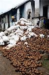 Noix de coco empilées près les dos de la ville de Sao Joao Angolares à Sao Tomé et Principe.The noix de coco est prêts à être cassé et séché.Sao Joao dos Angolares se trouve sur la côte orientale de Sao Tomé et Principe et s'appuie sur la pêche et l'élevage de café et de noix de coco.Sao Tomé et Principe est le deuxième plus petit pays d'Afrique de 193 000 habitants.