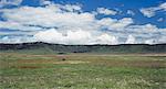 A lone black rhino is dwarfed by its surroundings in the world famous Ngorongoro Crater. The craters 102 square mile floor is spectacular for wildlife.