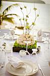 bridal table setting and centerpiece