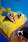 boy napping with dog on bed