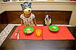 boy wearing dog mask at table