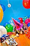 Hund in Partyhut mit Luftballons