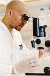 A male researcher in a laboratory, Sweden.