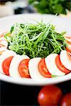 Rucola, tomatoes and mozzarella on a plate, Sweden.