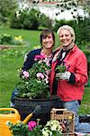 Two women setting flowers in pots, Sweden.