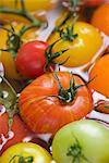 Tomatoes in water, close-up, Sweden.