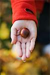 A woman holding a chestnut, Sweden.