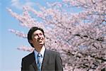 Businessman in Front of Cherry blossoms