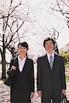 Businesspeople under the Cherry blossoms