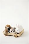 Five rabbits riding Wooden toy