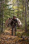 Male bow hunter carries a 54" moose antler rack on his backpack as he hikes out of hunt area, Eklutna Lake area, Chugach State Park, Southcentral Alaska, Autumn