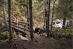 Woman hiking on a bridge that overlooks the falls on Winner Creek Trail in near Girdwood, Chugach National Forest, Southcentral Alaska, Autumn