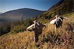 Two male moose hunters hike down a sunny mountainside with their trophy moose antler racks, Bird Creek drainage area, Chugach Mountains, Chugach National Forest, Southcentral Alaska, Autumn