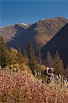 Zwei männliche Elch Jäger zu stoppen, um den Bereich mit dem Fernglas, Glas Bird Creek Einzugsgebiet, Chugach Mountains, Chugach National Forest, South Central Alaska, Herbst