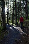 Woman hiking in late afternoon on a trail through Sitka Spruce trees around Lake Gertrude in Fort Abercrombie State Historical Park, Kodiak Island, Southwest Alaska, Fall